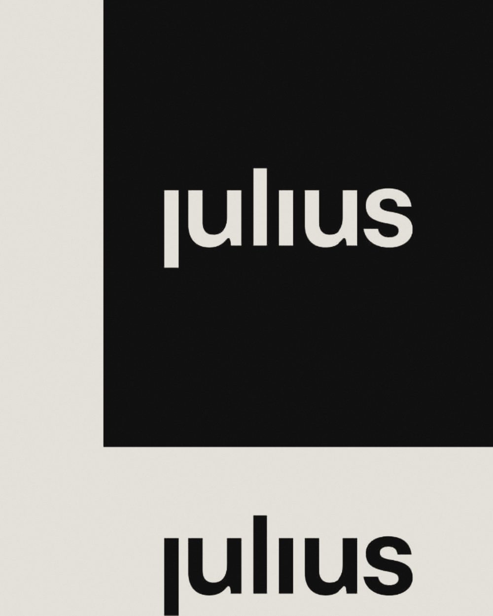 Julius brand identity cards
